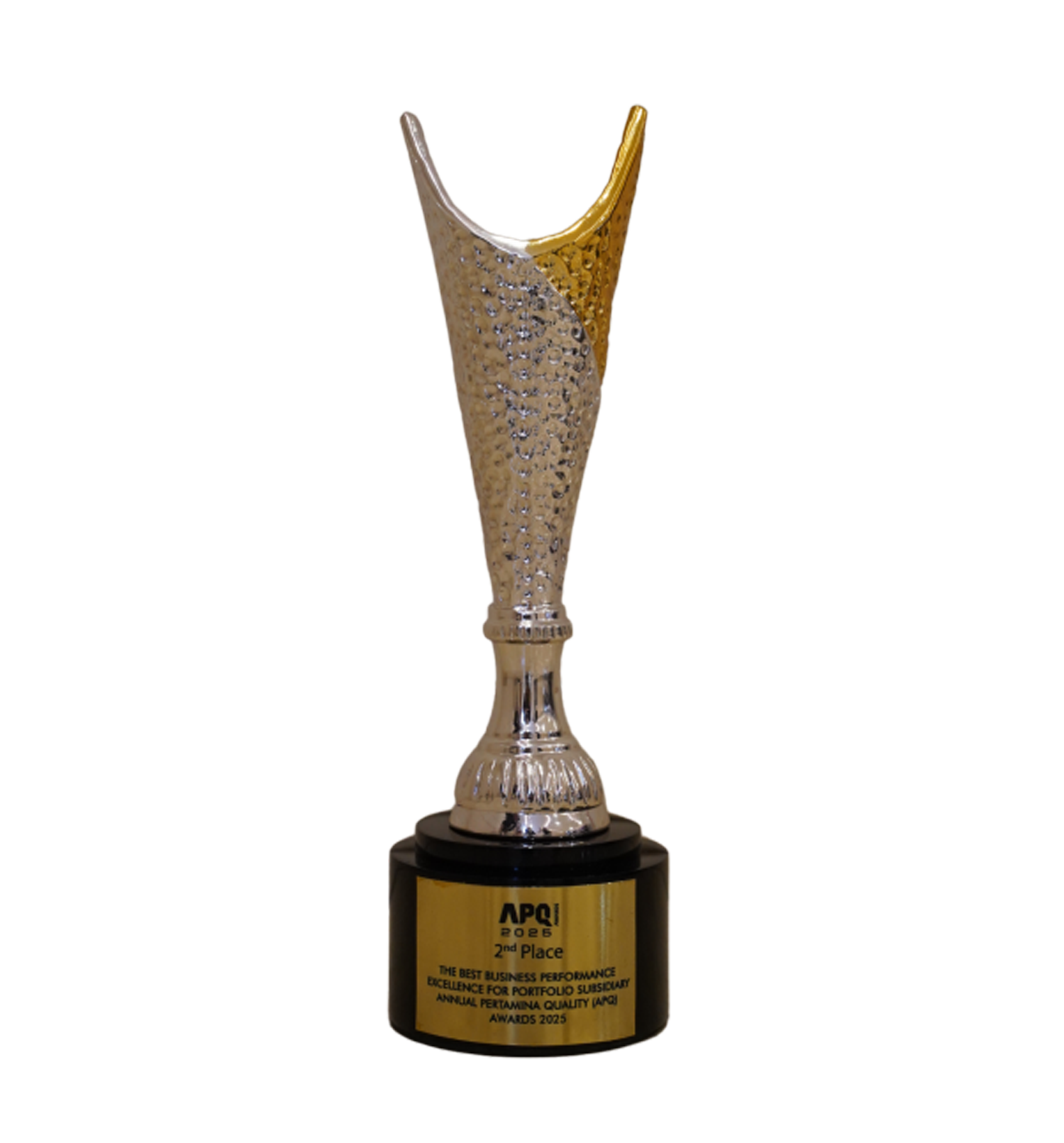 The Best Business Performance Excellence for Portfolio Subsidiary